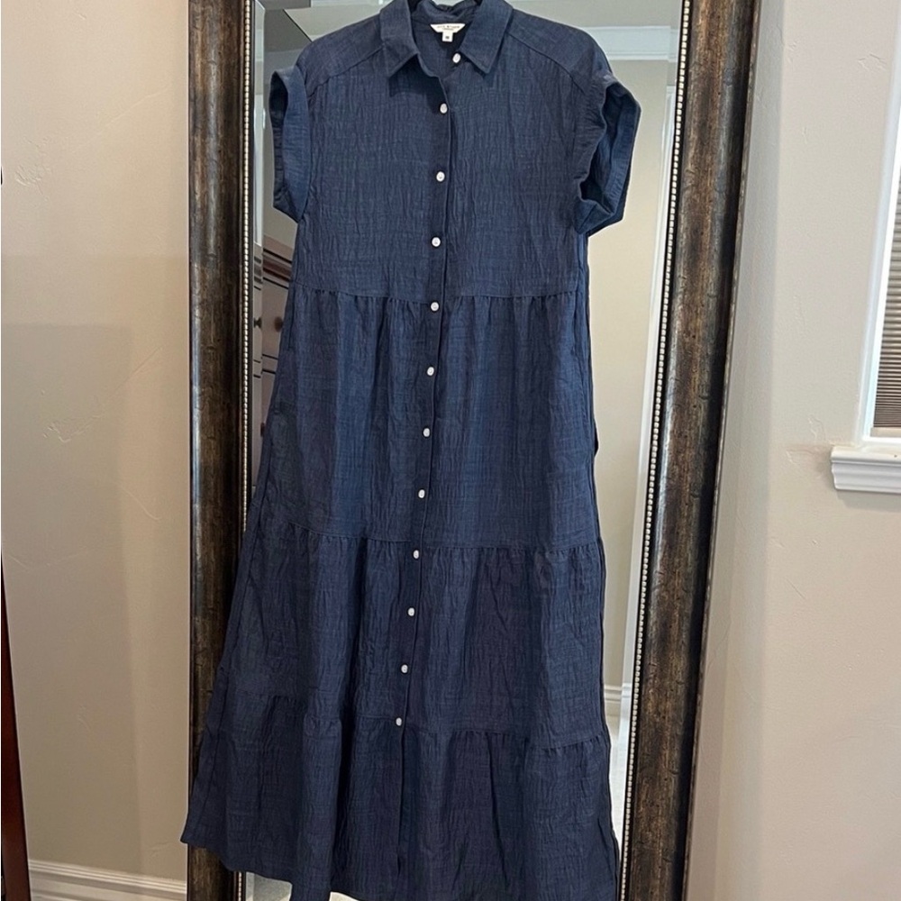 Max Studio Denim Button-Front Maxi Dress with pockets